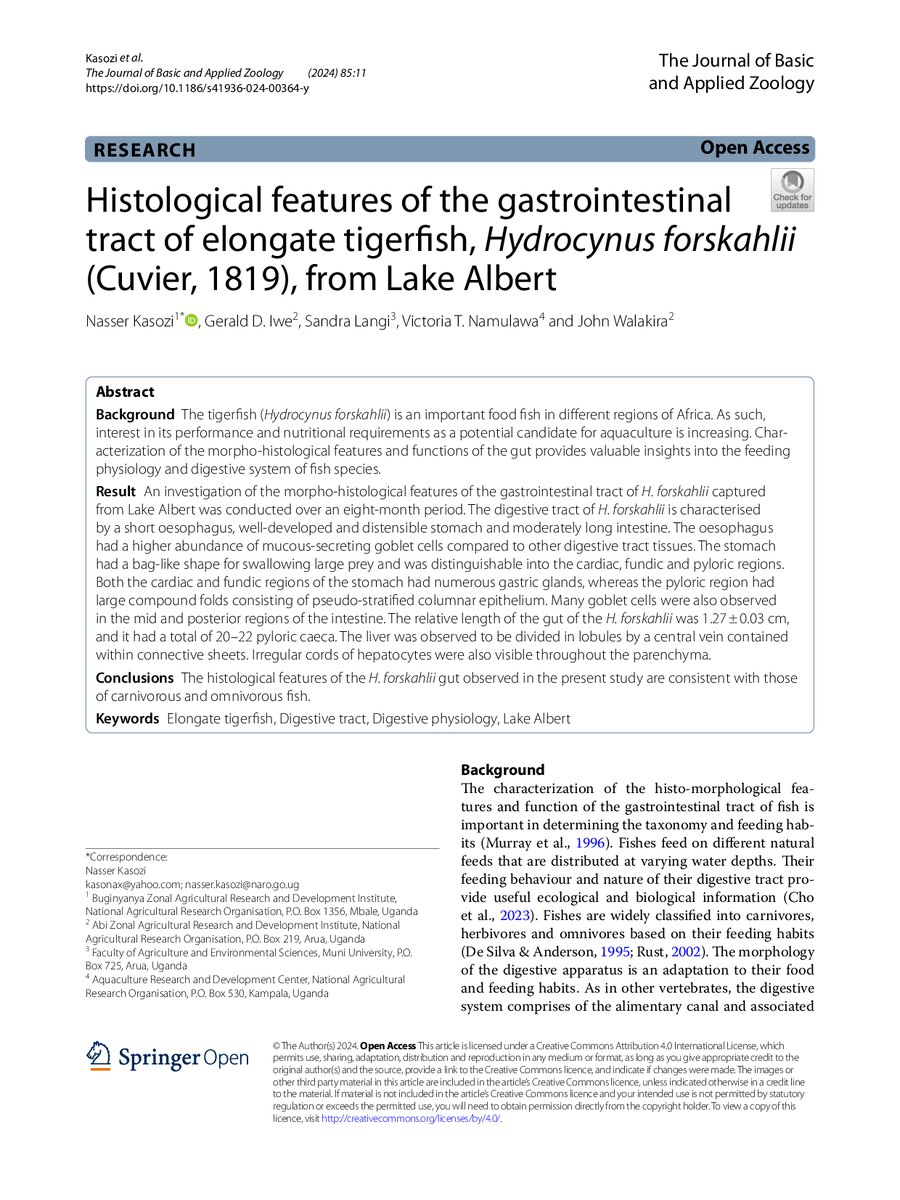 First page of Histological features of the gastrointestinal tract of elongate tigerfish, Hydrocynus forskahlii (Cuvier, 1819), from Lake Albert