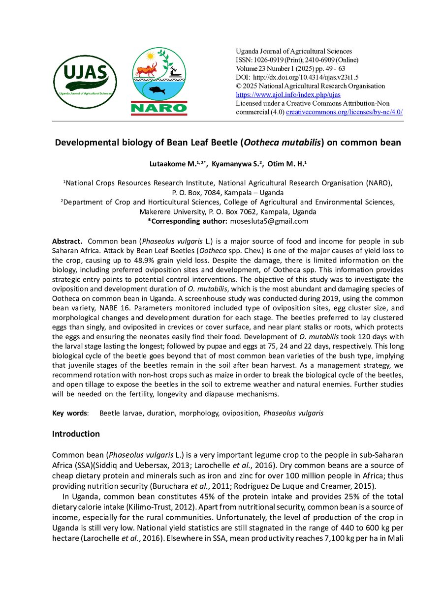 First page of Developmental biology of Bean Leaf Beetle (Ootheca mutabilis) on common bean