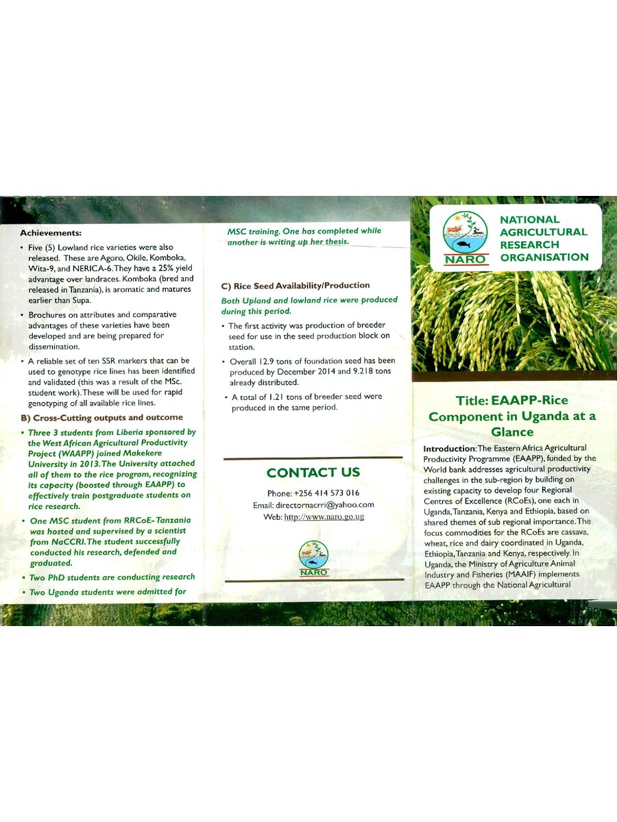 First page of EAAPP - Rice Component in Uganda at a Glance