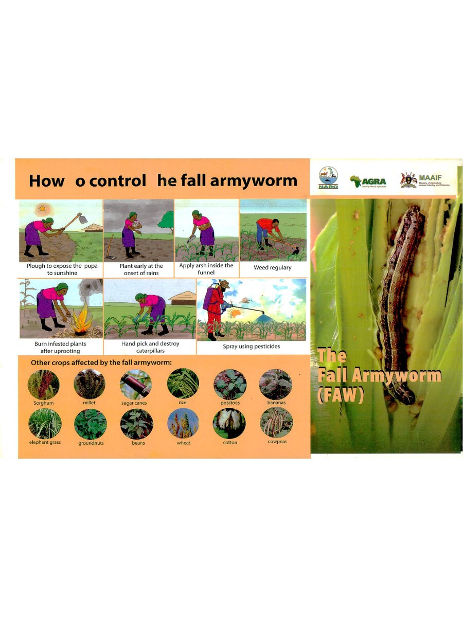 First page of How To Control The Fall Armyworm (NARO)
