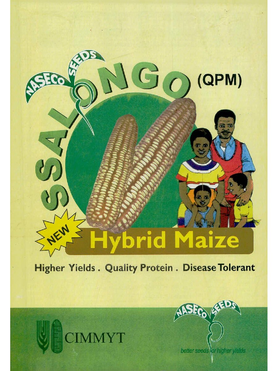 First page of Ssalongo (QPM) Hybrid Maize: Higher Yields, Quality Protein, Disease Tolerant