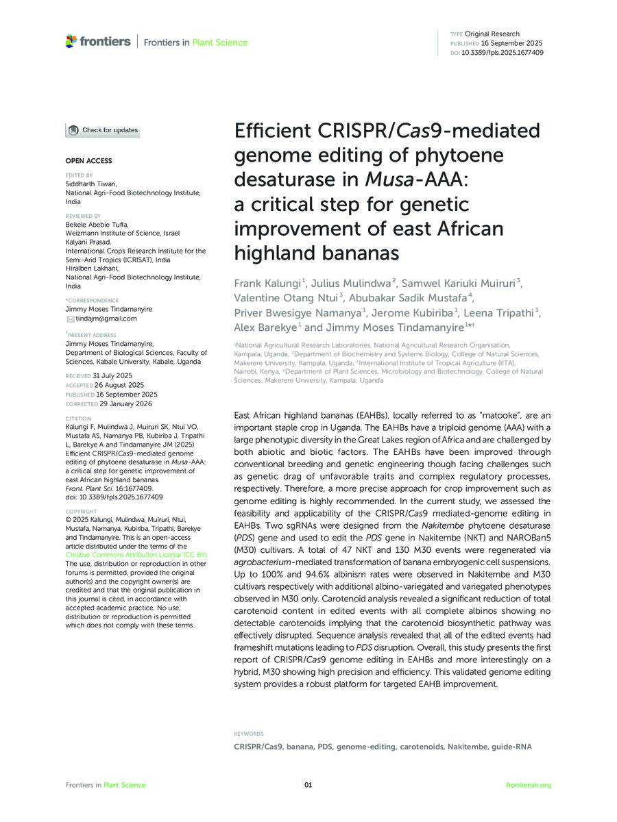 First page of Efficient CRISPR/Cas9-mediated genome editing of phytoene desaturase in Musa-AAA: a critical step for genetic improvement of east African highland bananas