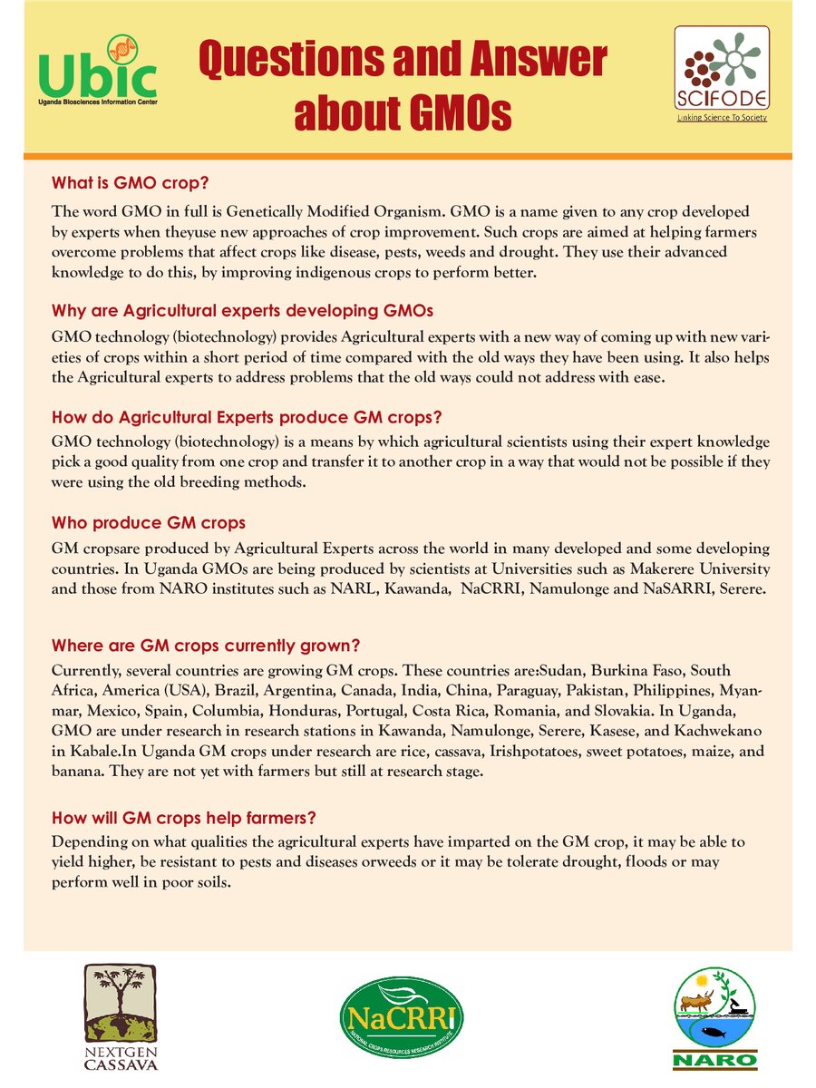 First page of Questions and Answer about GMOs