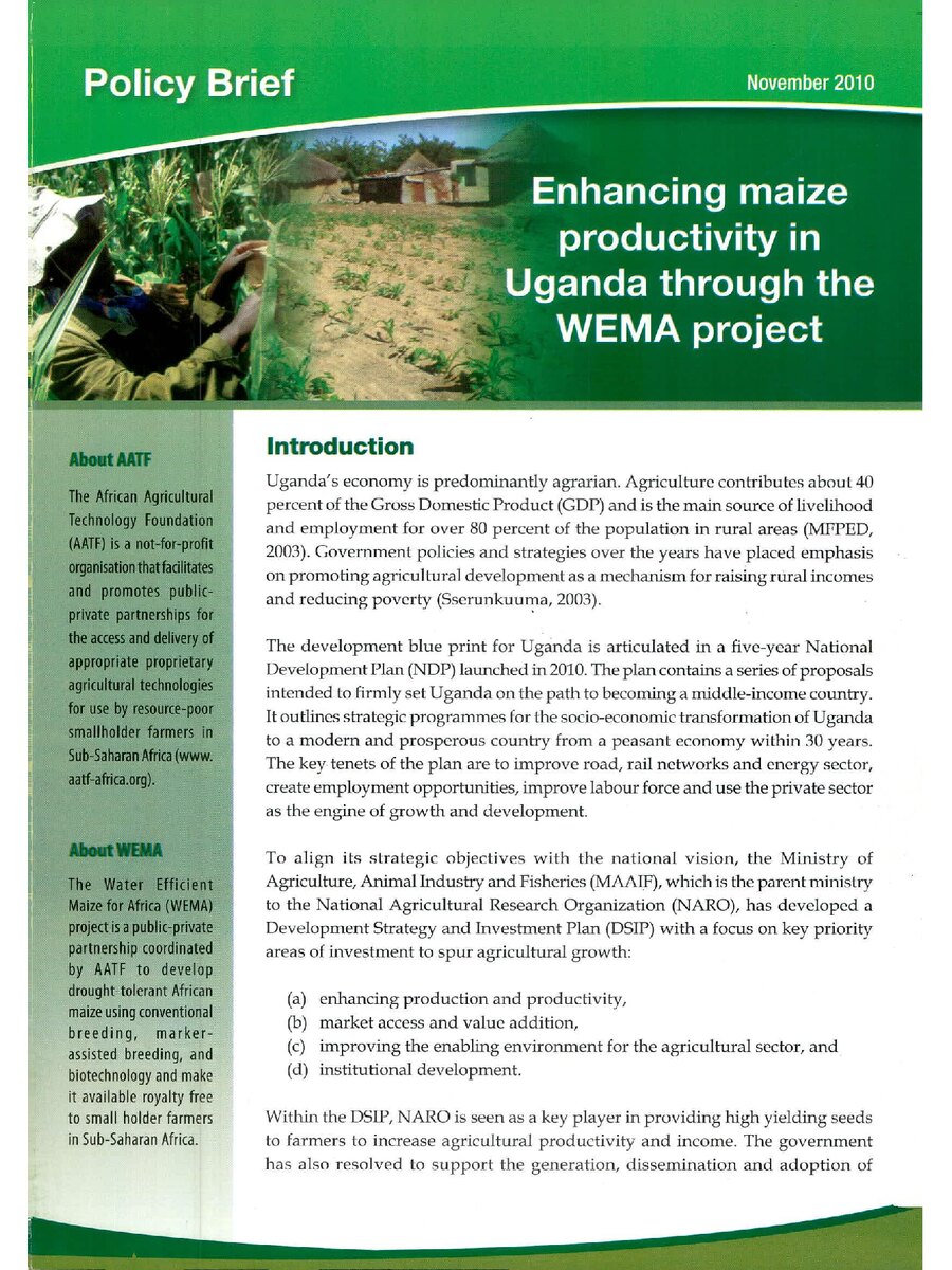 First page of Enhancing Maize  Productivity in  Uganda through the  WEMA Project