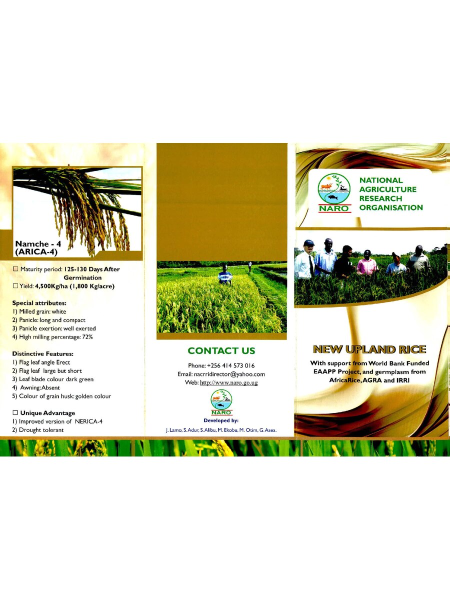 First page of New Upland Rice