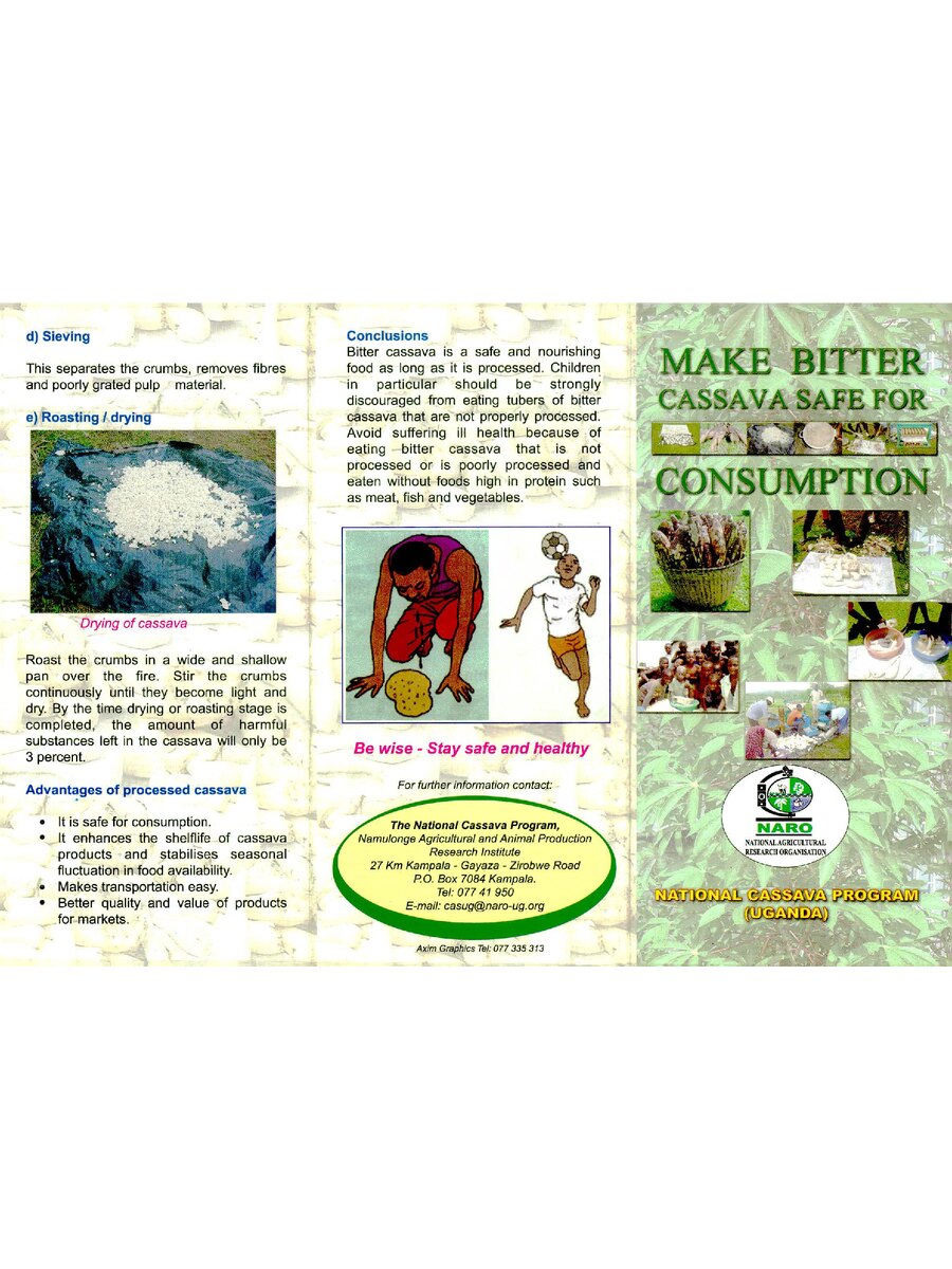 First page of Make Bitter Cassava Safe for Consumption