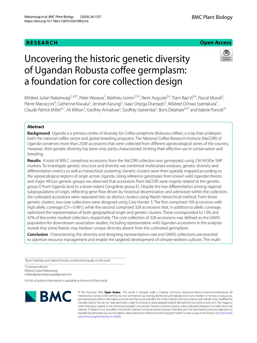 First page of Uncovering the historic genetic diversity of Ugandan Robusta coffee germplasm: a foundation for core collection design