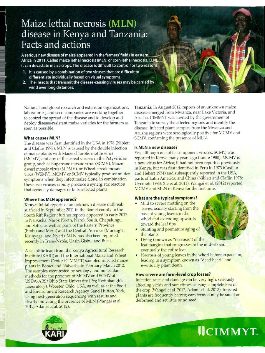 First page of Maize Lethal Necrosis (MLN) Disease in Kenya and Tanzania