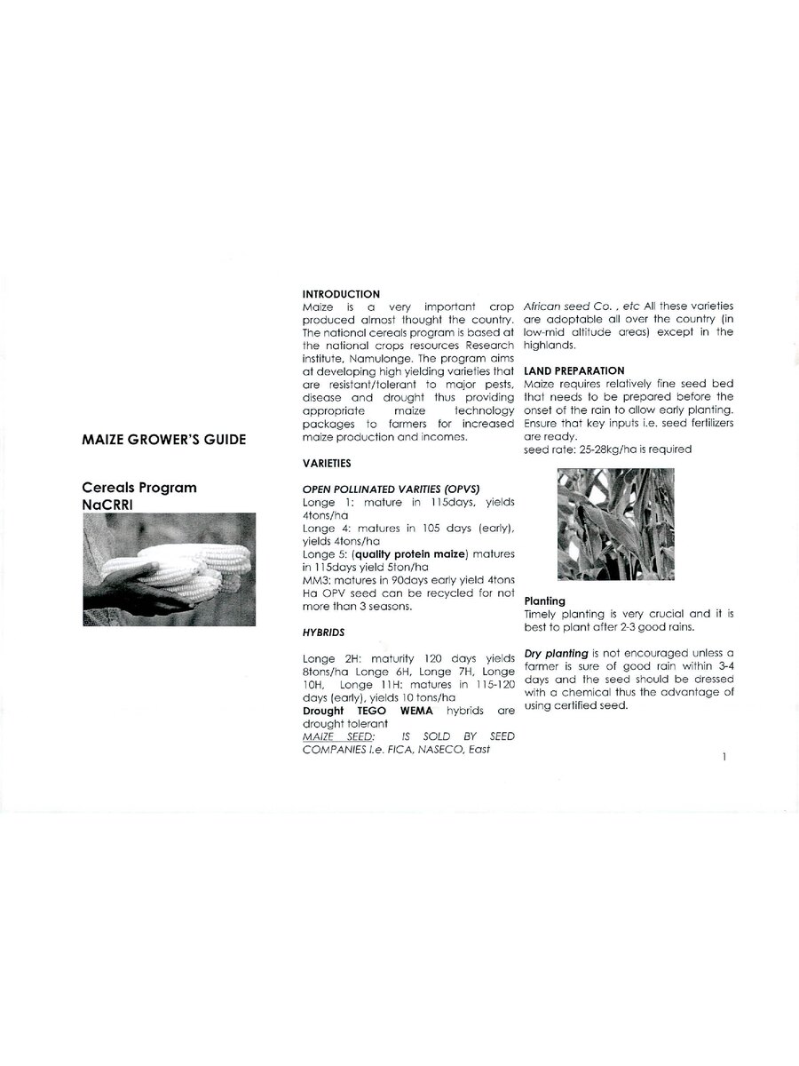 First page of Maize Growers Guide: Cereals Program NaCRRI