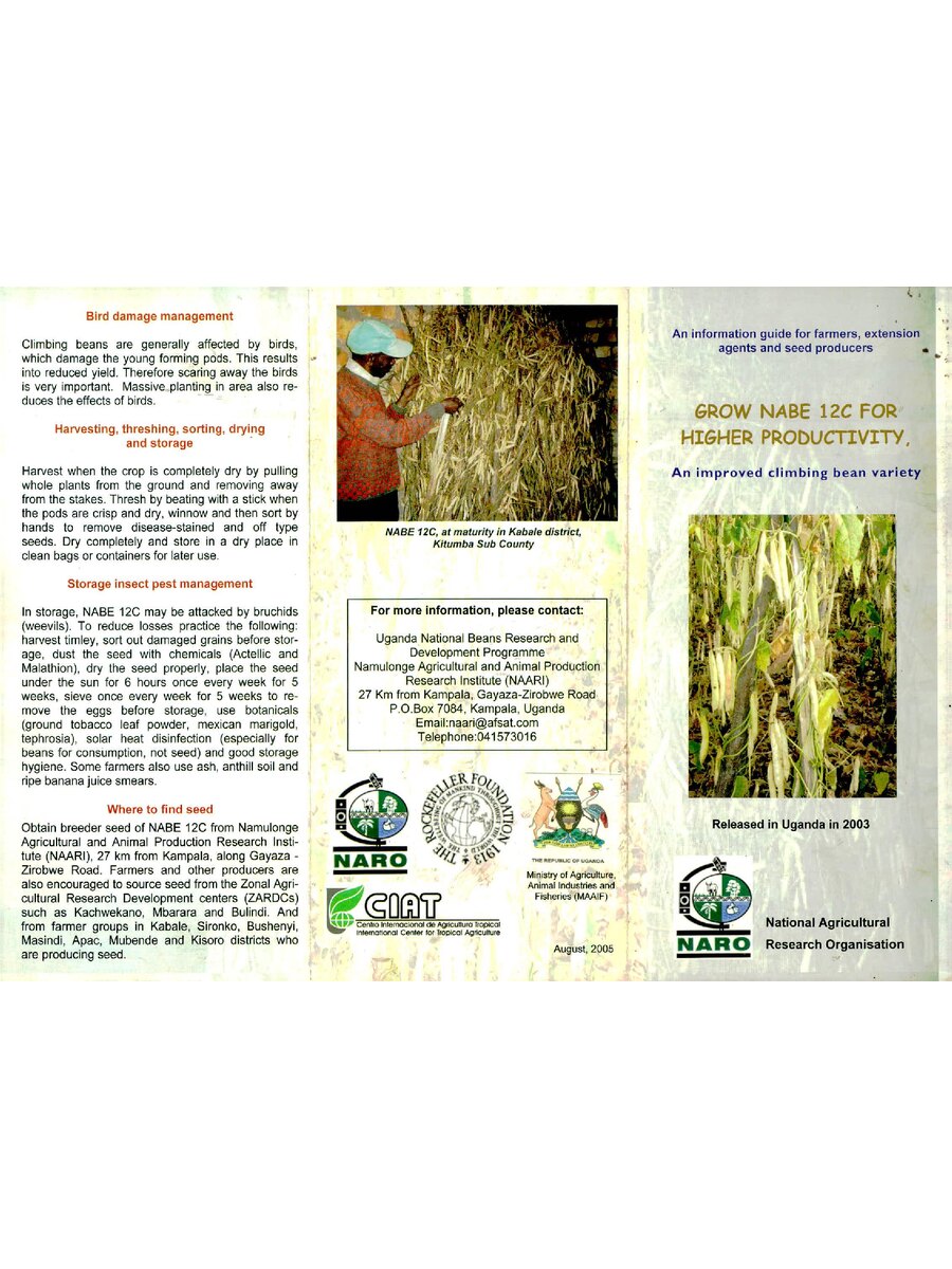First page of Grow Nabe 12C for  Higher Productivity: An Improved Climbing Bean Variety