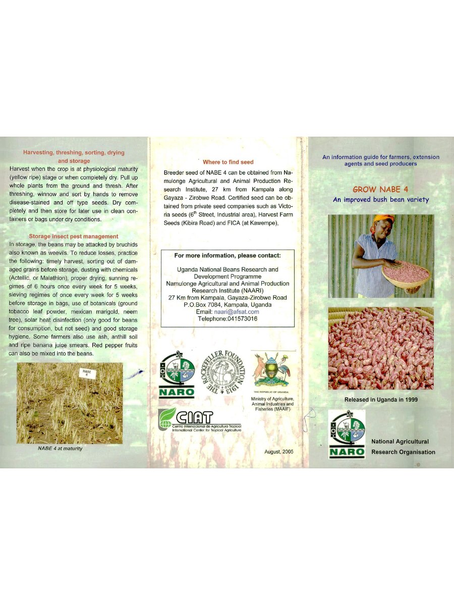 First page of Grow Nabe 4: An Improved Bush Bean Variety