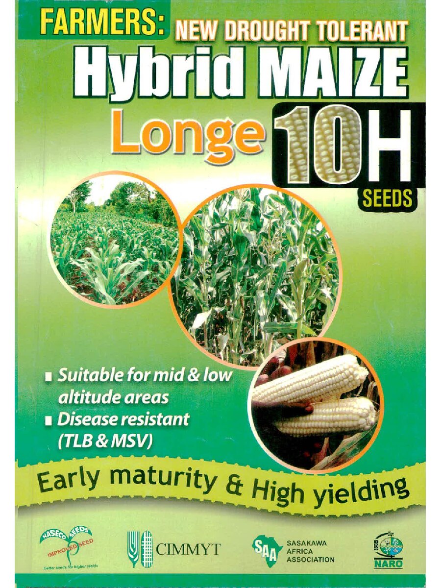 First page of Farmers: New Drought Tolerant Hybrid Maize Longe 10H Seeds