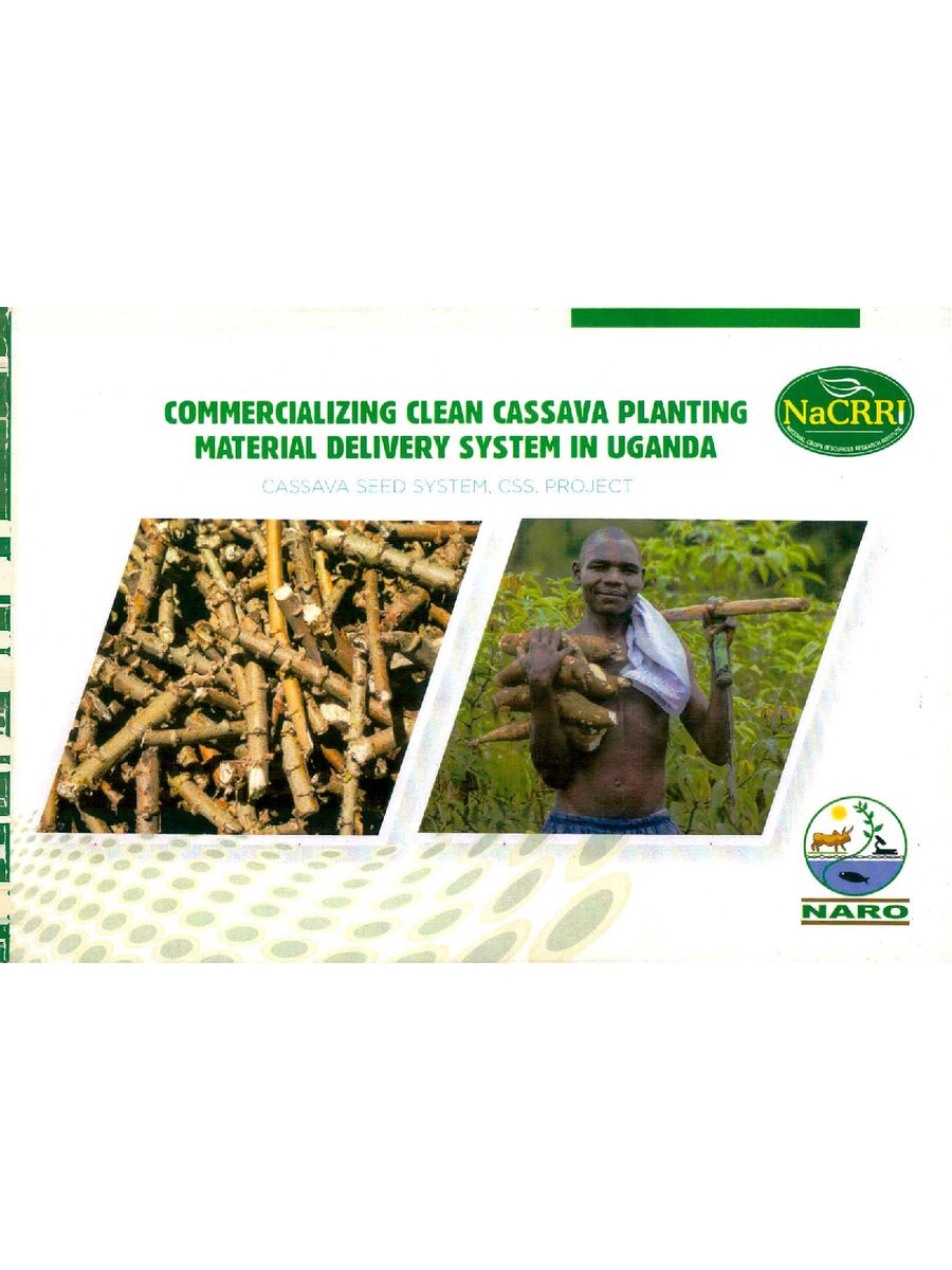 First page of Commercializing Clean Cassava Planting Material Delivery Sytem In Uganda