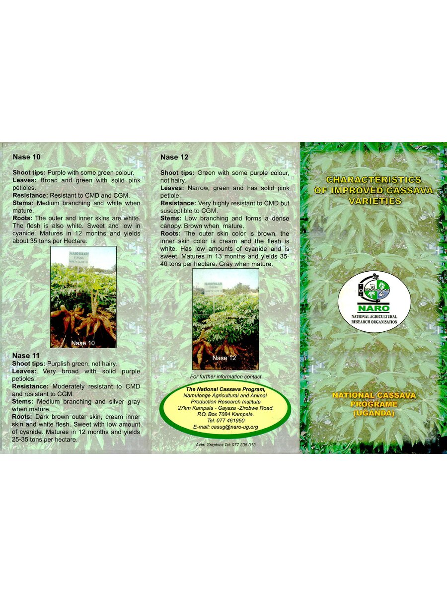 First page of Characteristics of Improved Cassava Varieties: National Cassava Programe