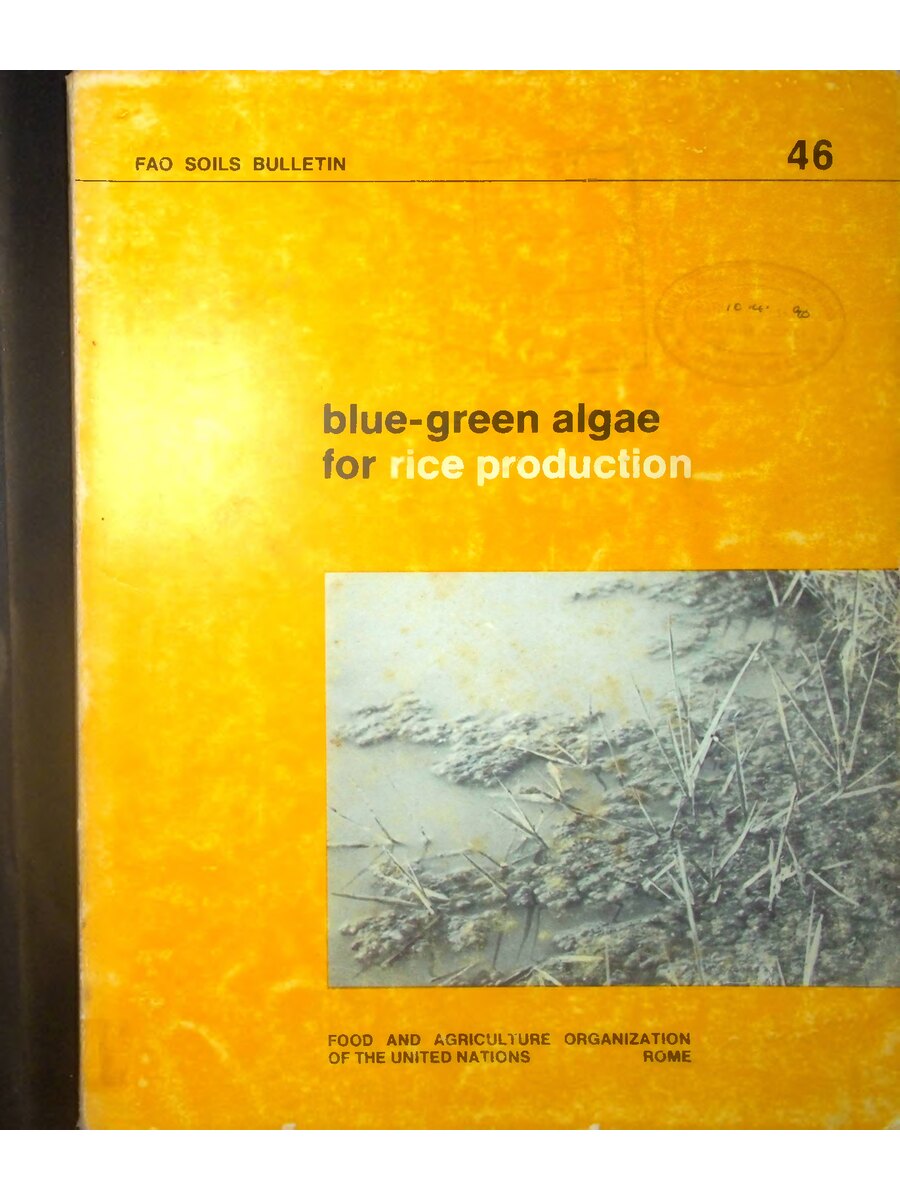 First page of Blue Green Algae for Rice Production