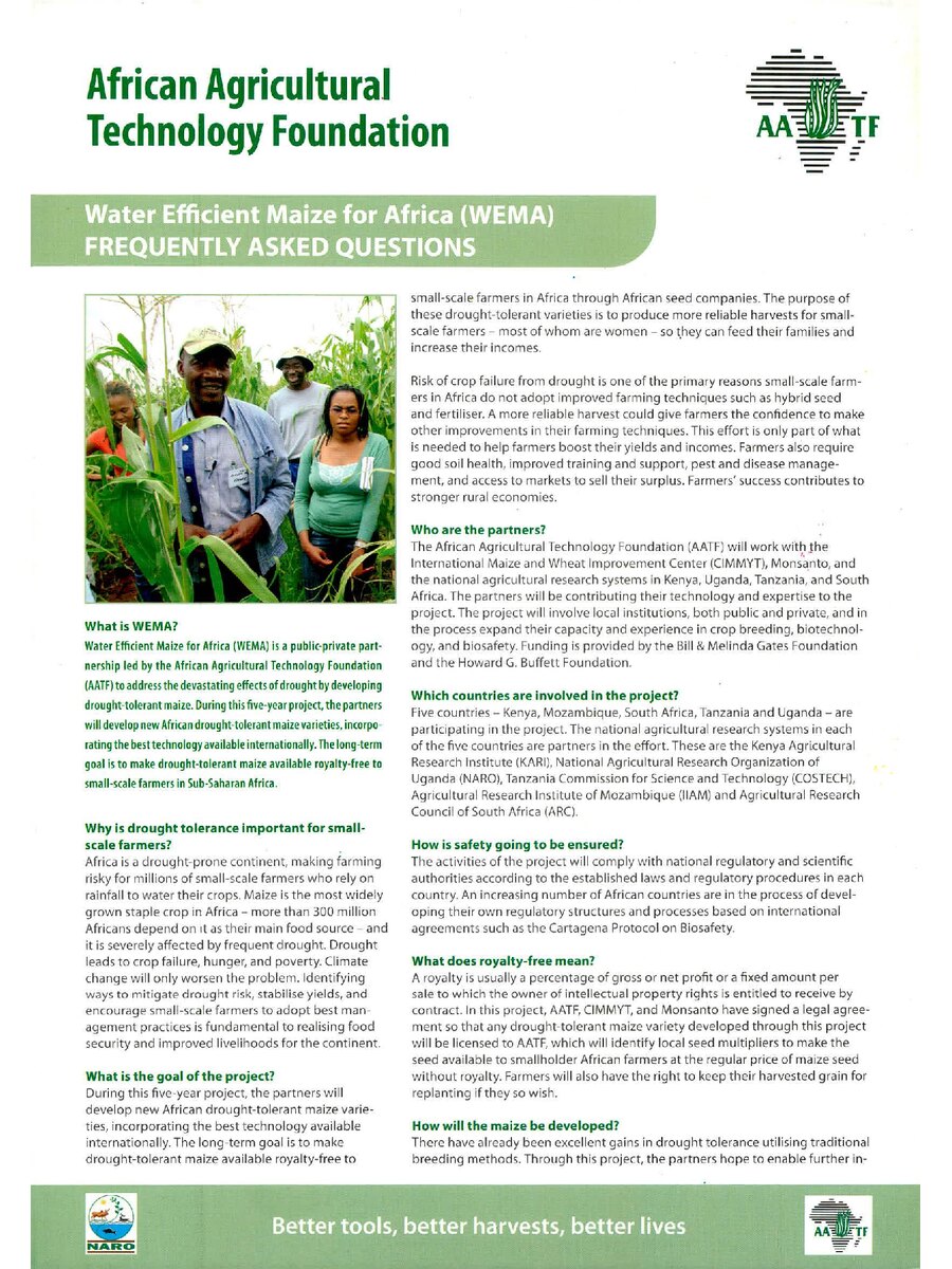 First page of African Agricultural  Technology Foundation: Water Efficient Maize for Africa (WEMA)