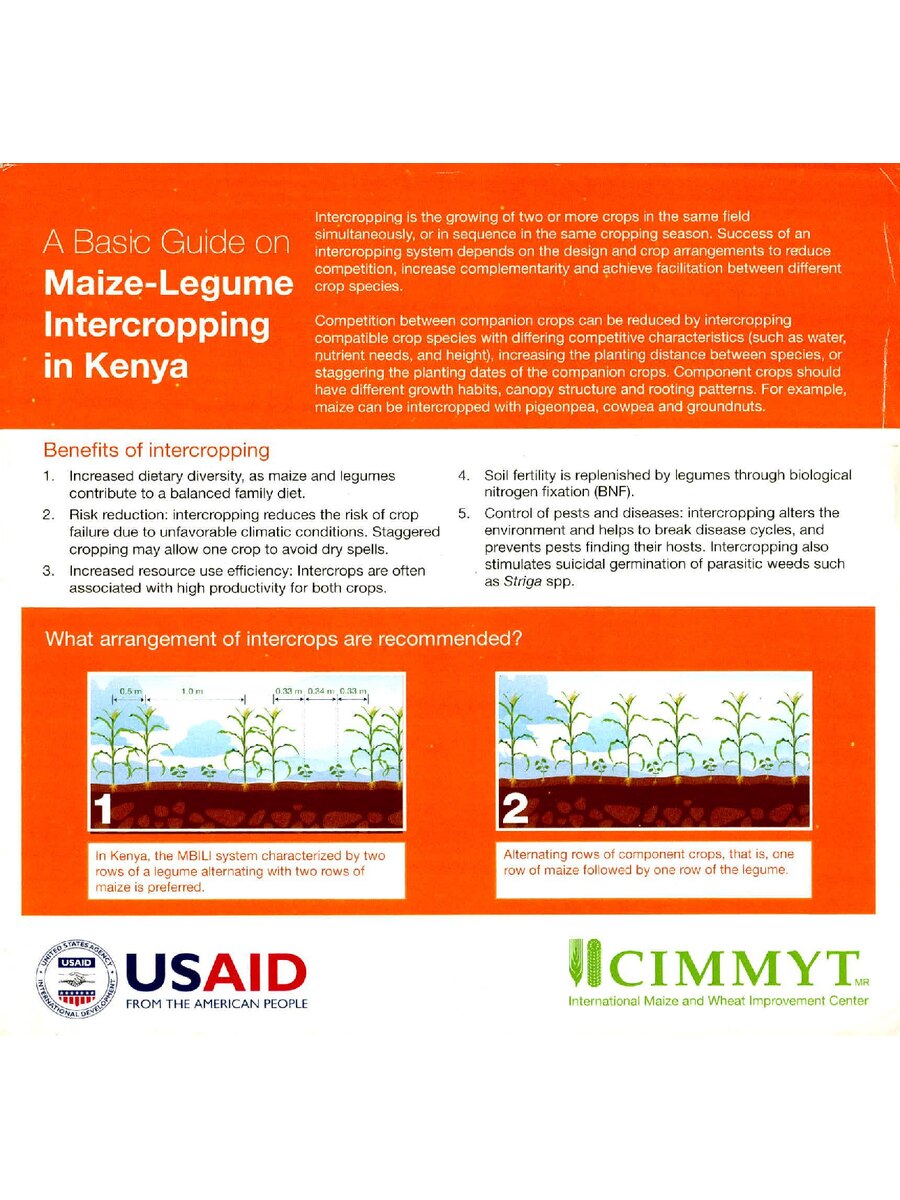 First page of A Basic Guide on Maize-Legume Intercropping in Kenya