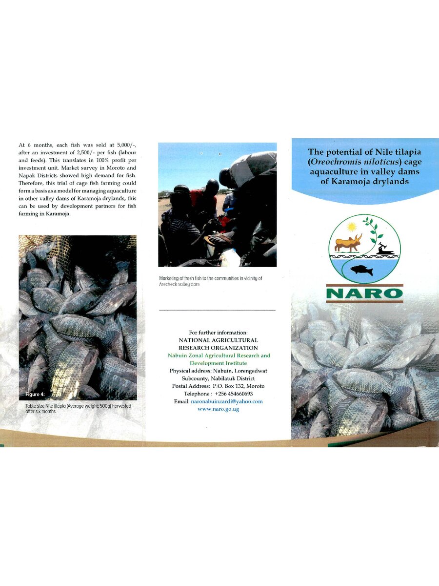First page of The Potential of Nile tilapia  (Oreochromis niloticus) Cage  Aquaculture in Valley dams  of Karamoja Drylands