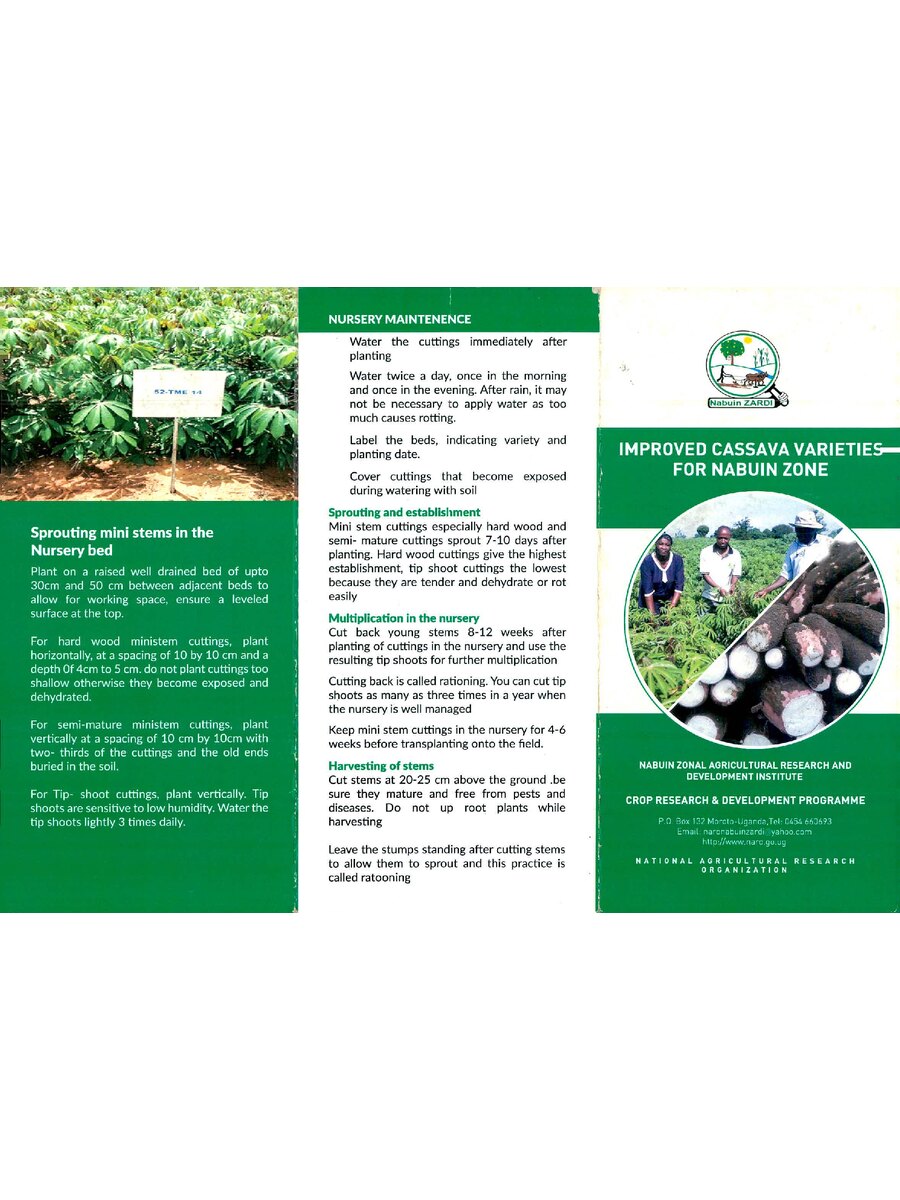 First page of Improved Cassava Varieties  for Nabuin Zone