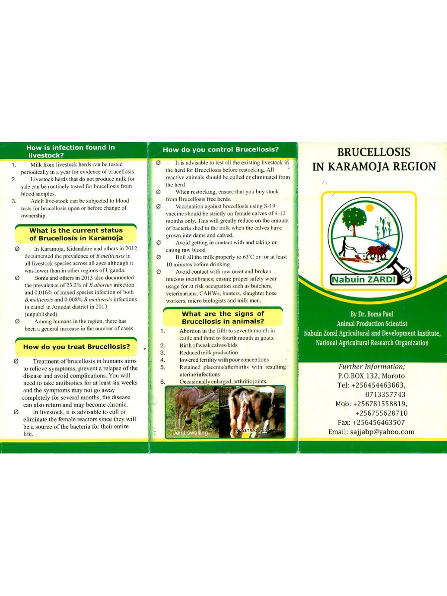 First page of Brucellosis in Karamoja Region