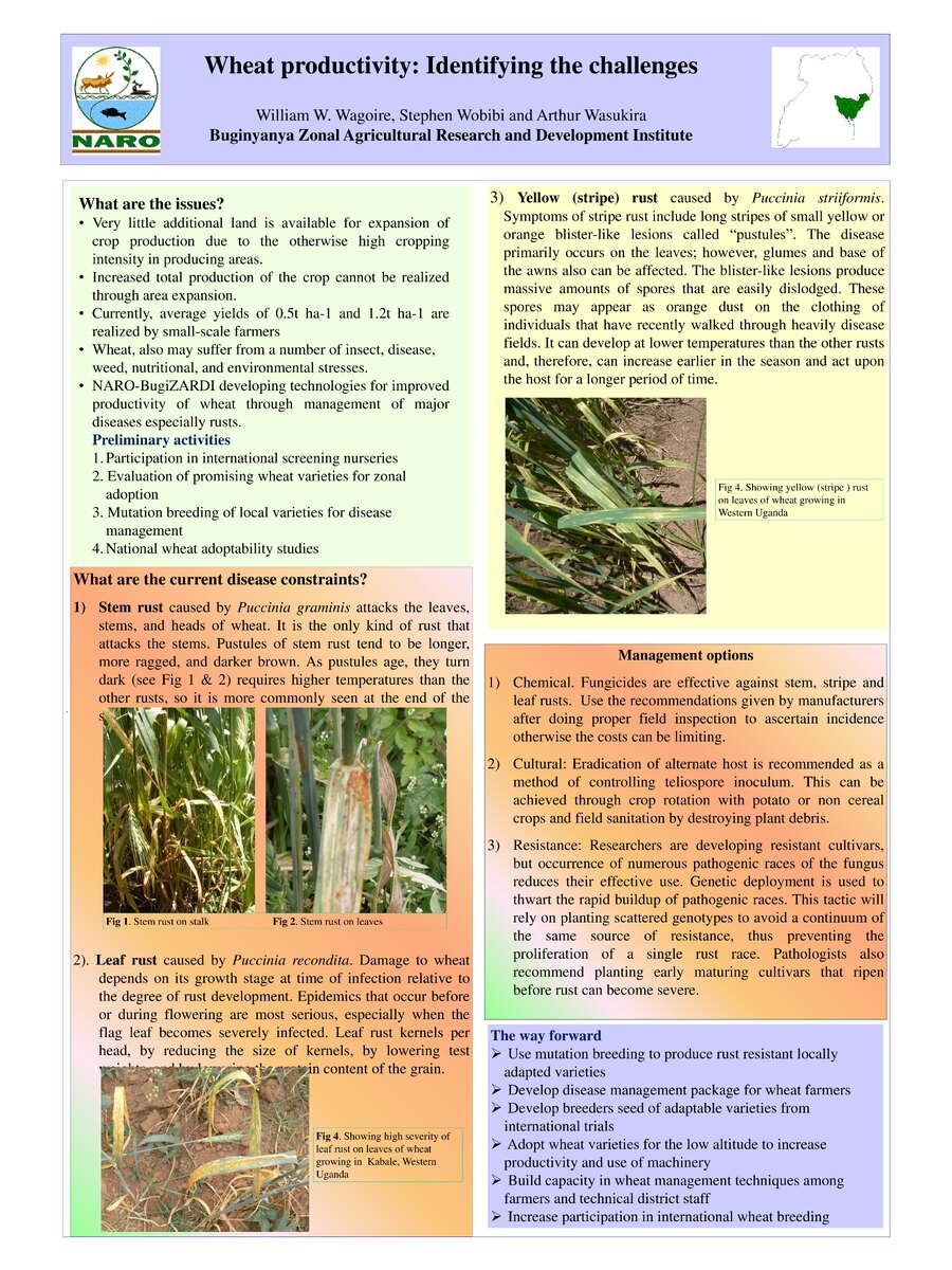 First page of Wheat Productivity: Identifying the Challenges