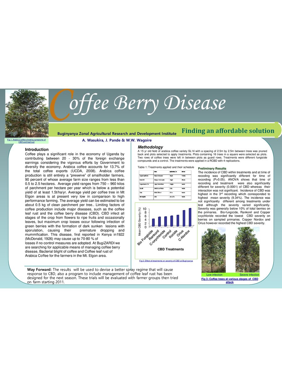 First page of Coffee Berry Disease: Finding an Affordable Solution