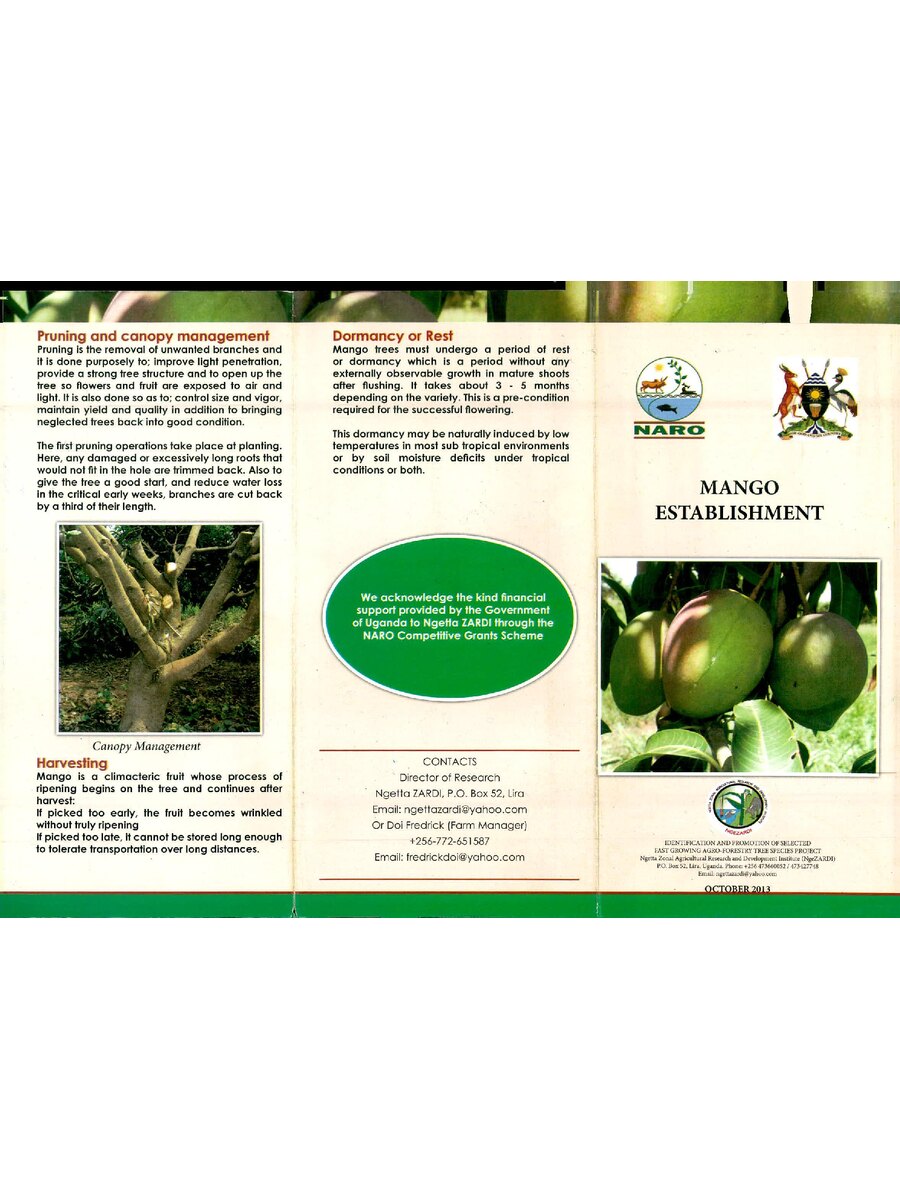 First page of Mango Establishment