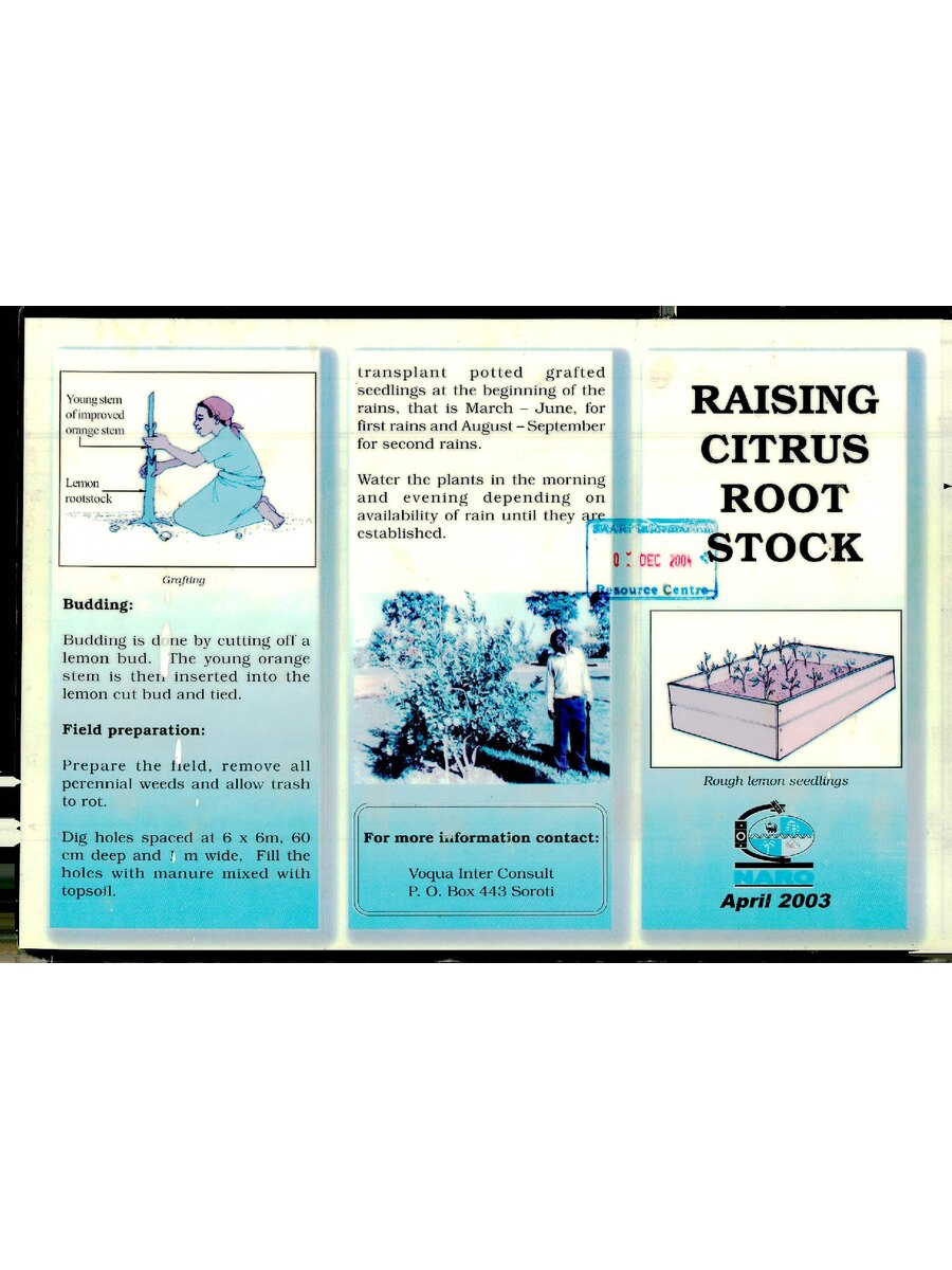 First page of Raising Citrus Root Stock