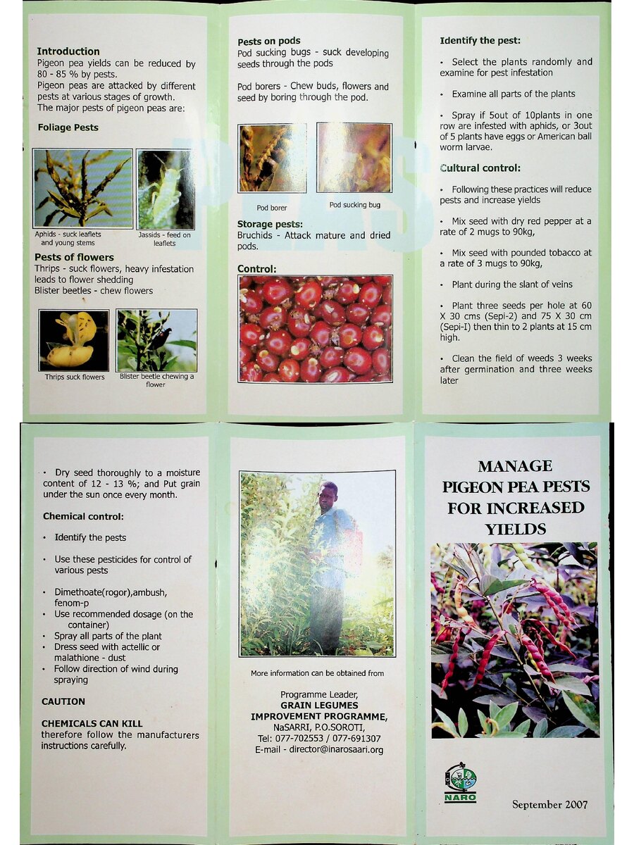 First page of Manage Pigeon Pea Pests for Increased Yields