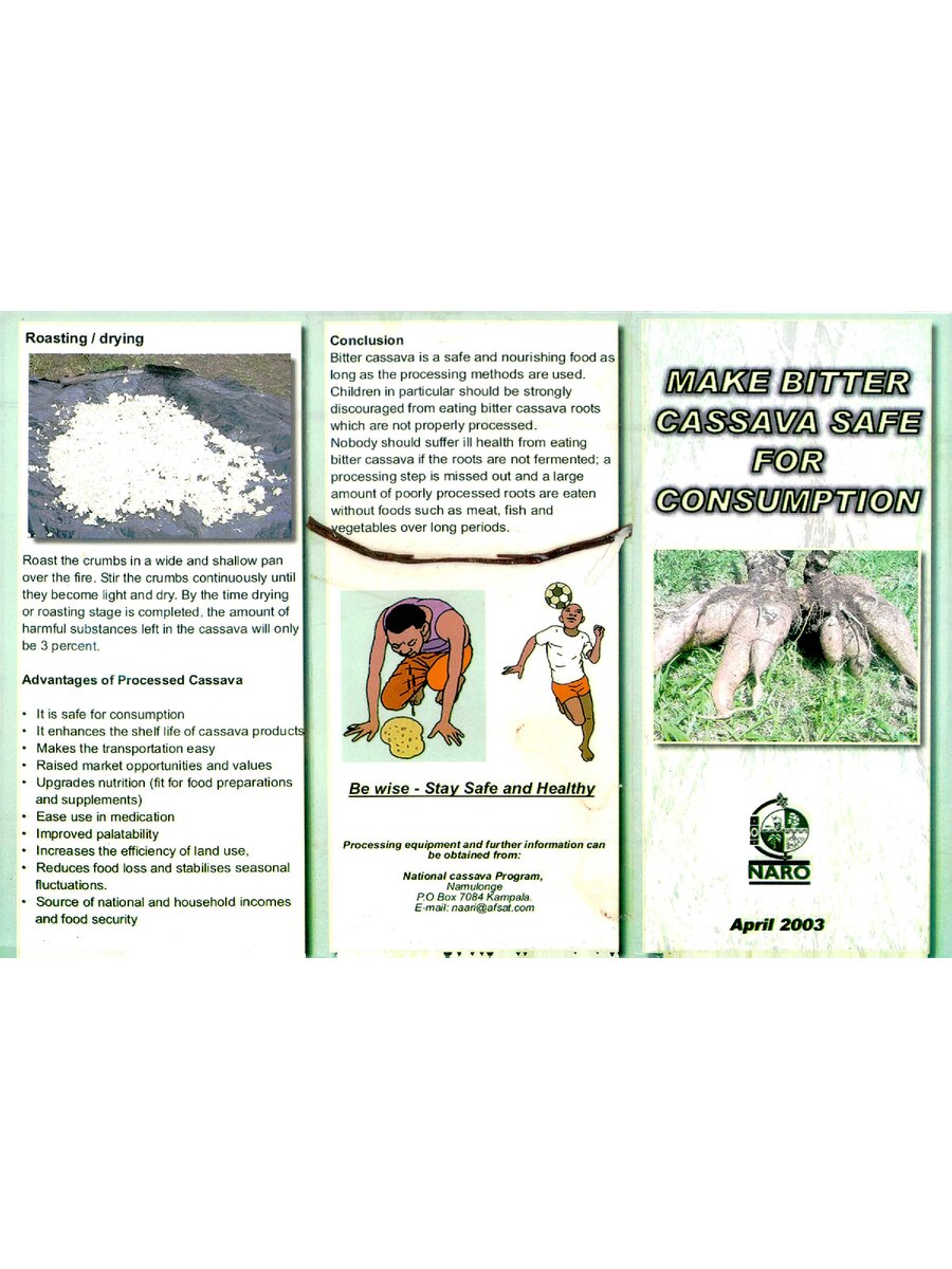 First page of Make Bitter Cassava Safe for Consumption
