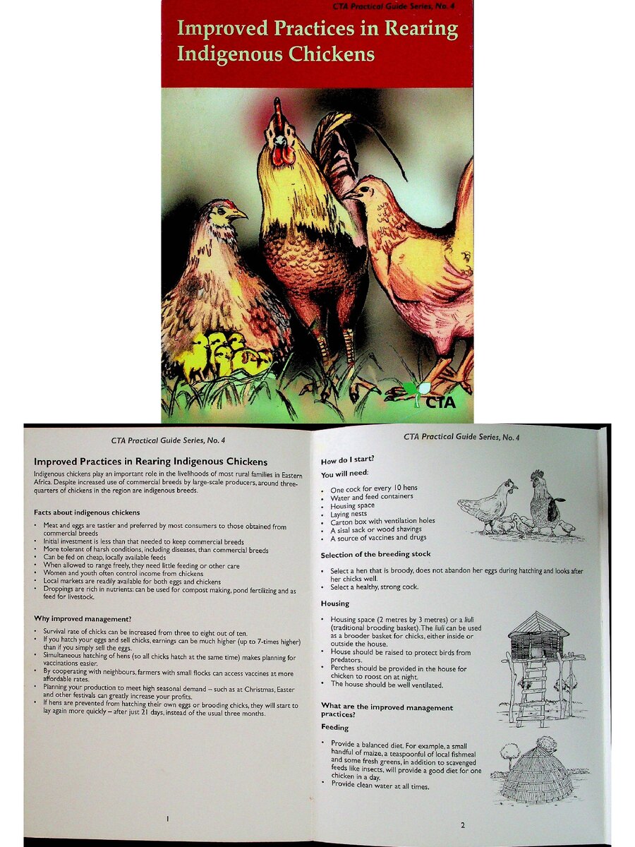 First page of Improved Practices in Rearing Indigenous Chickens