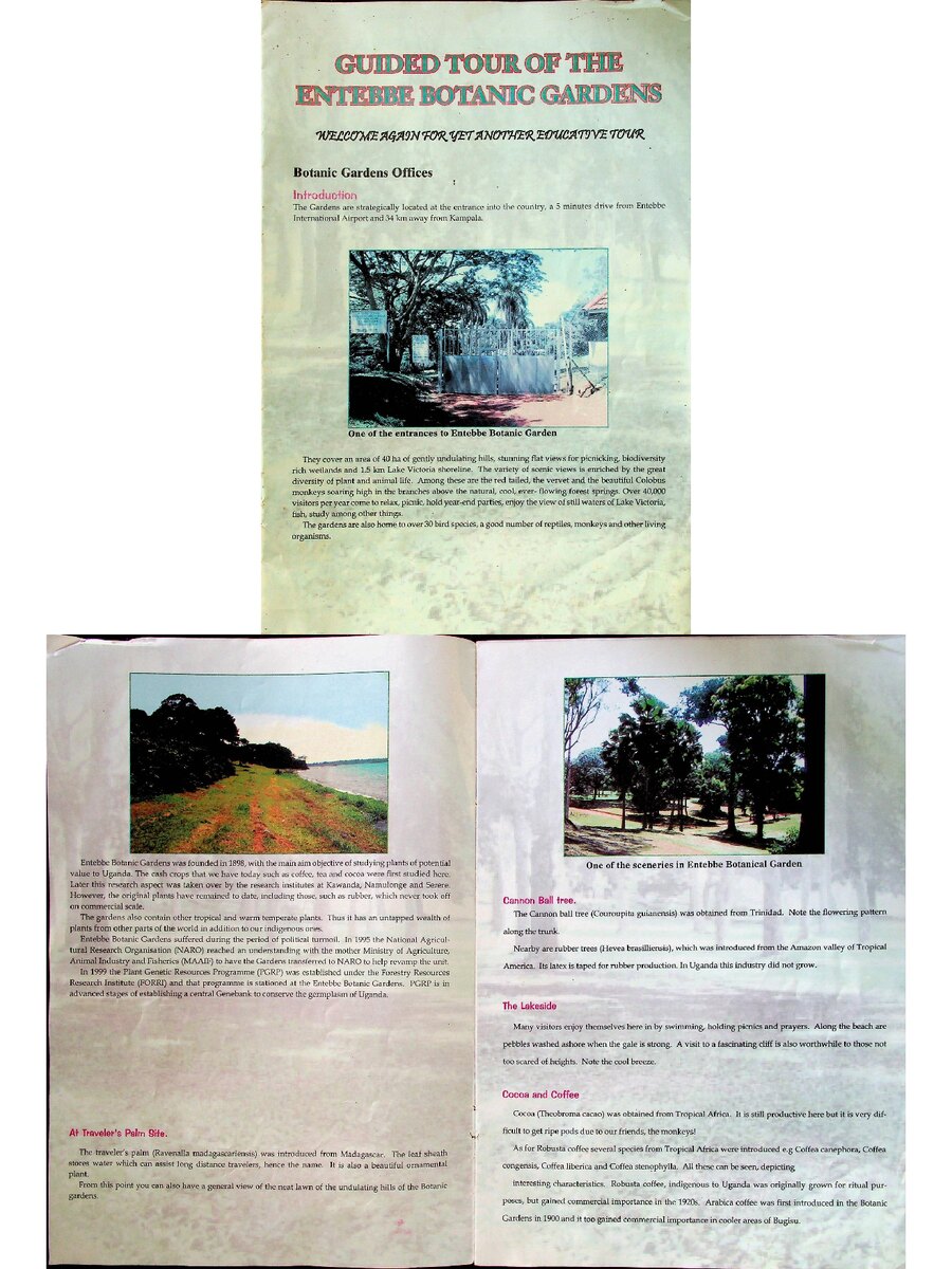 First page of Guided Tour of the Entebbe Botanic Gardens