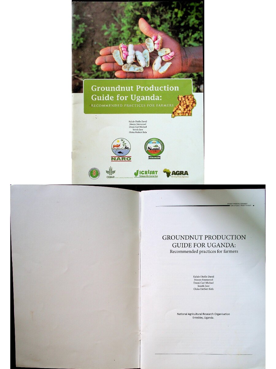 First page of Groundnut Production Guide for Uganda: Recommended Practices for Farmers