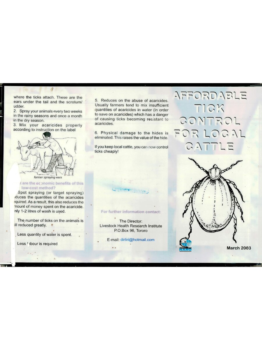 First page of Affordable Tick Control for Local Cattle