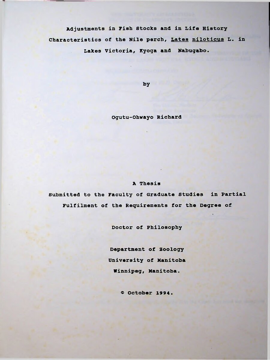 First page of Adjustments in Fish Stocks and in Life History Characteristics of the Nile Perch, Lates Niloticus L. in Lakes Victoria, Kyoga and Nabugabo