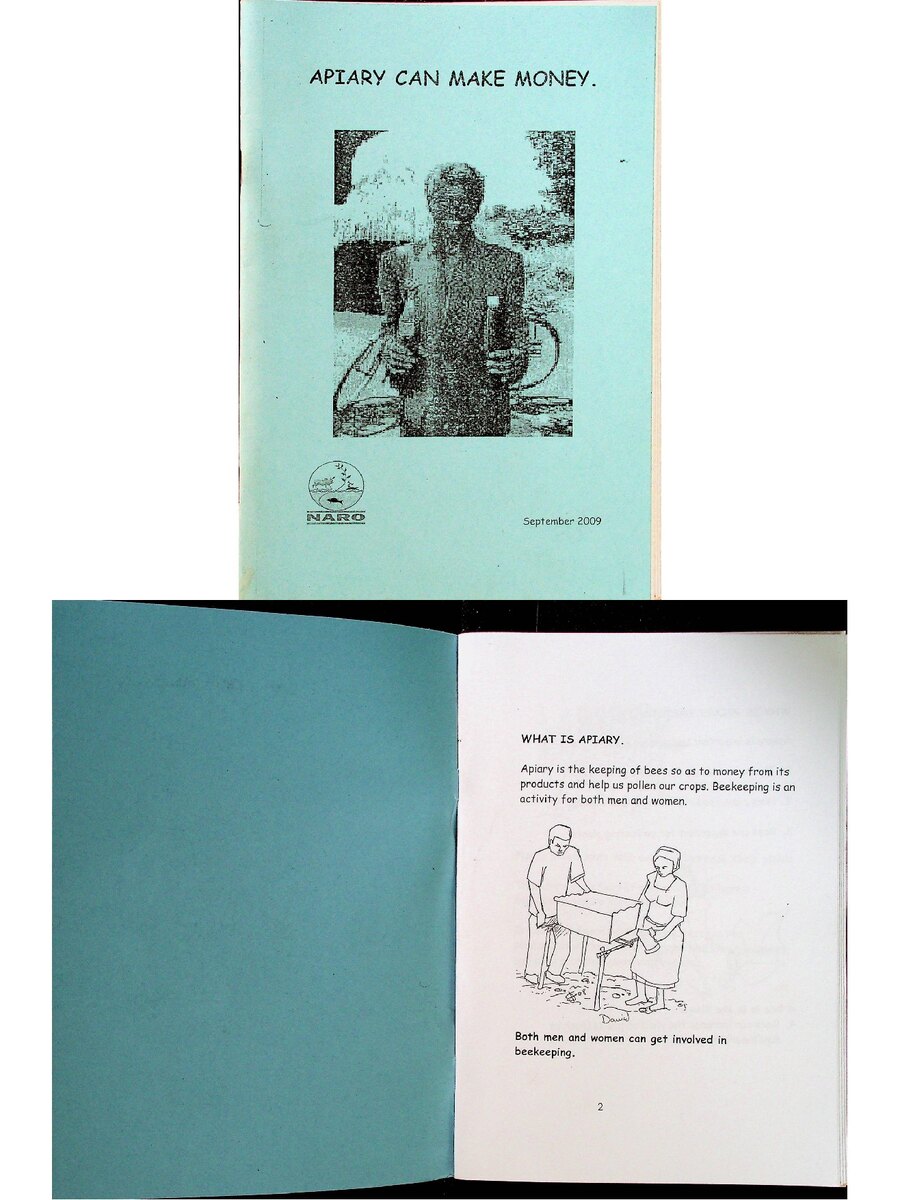 First page of Apiary Can Make Money