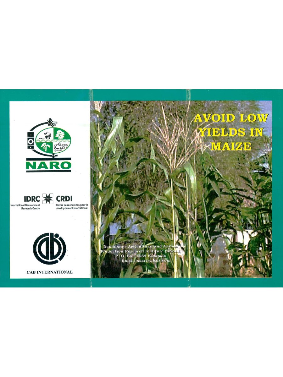 First page of Avoid Low Yields in Maize