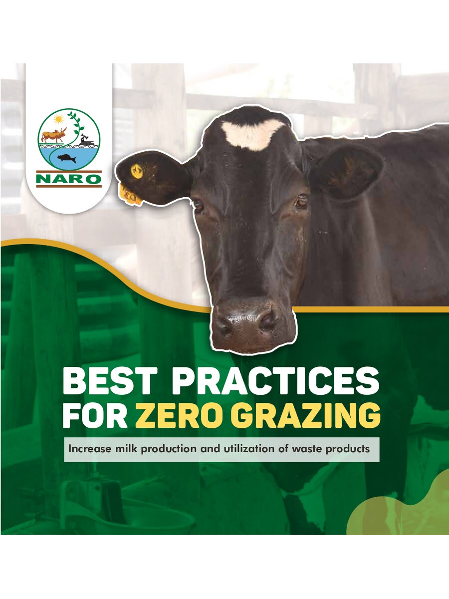 First page of Best Practices for Zero Grazing