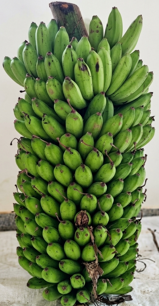 NAROBAN6