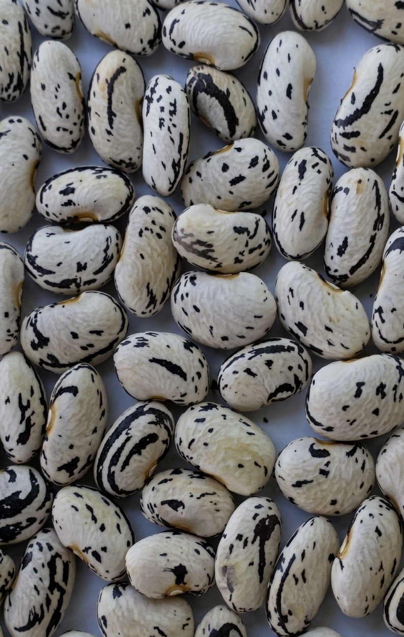NAROBEAN 1