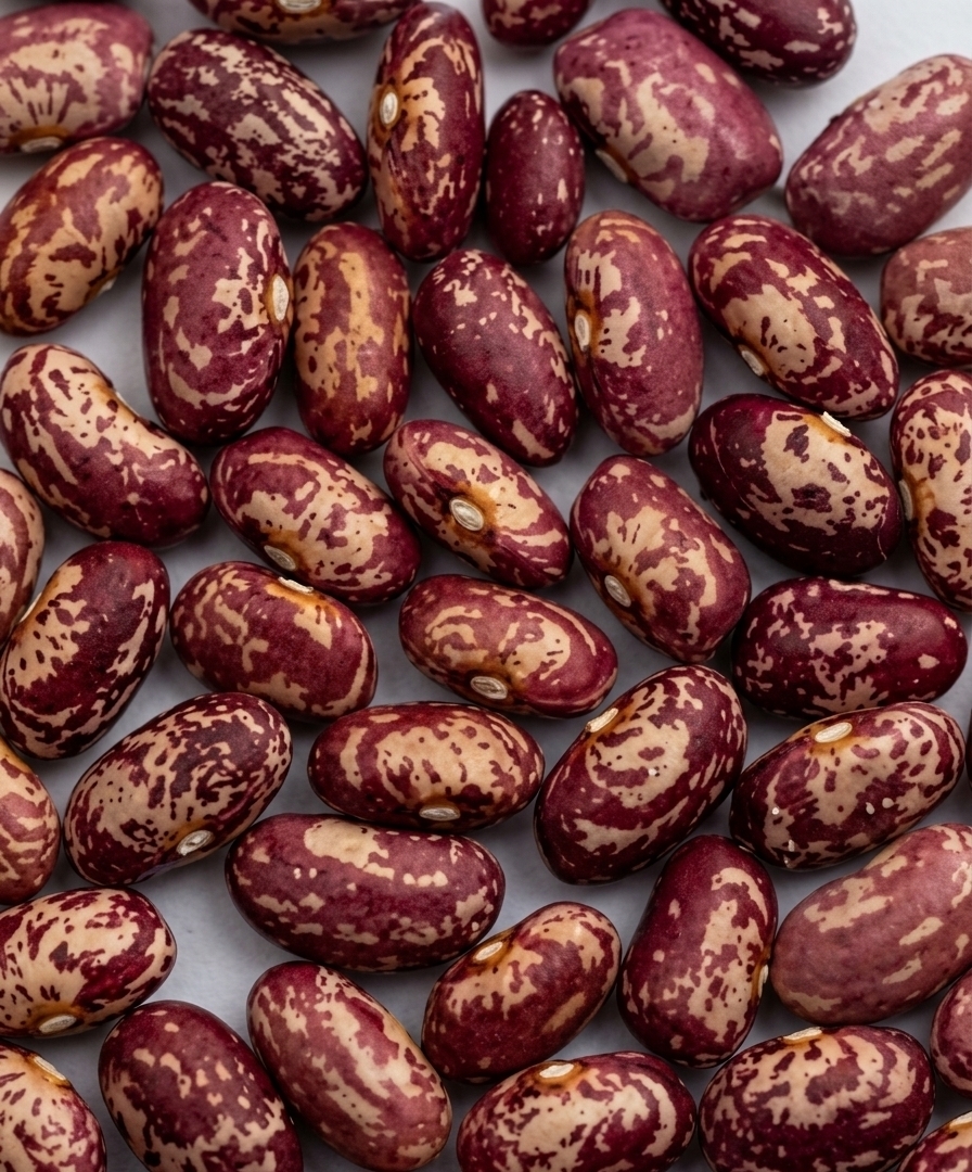 NAROBEAN 2