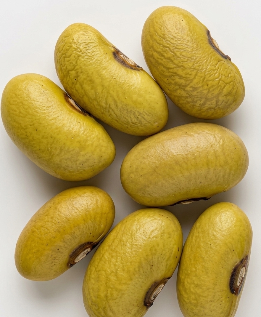 NAROBEAN 5C